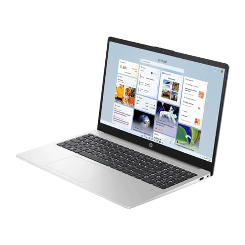 HP 250R G10 C91W6AT Laptop (Intel Core 3-100U/Silver)